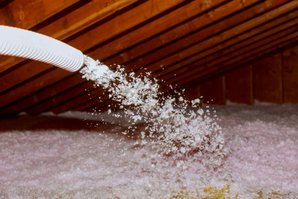 Types of Insulation We Offer in El Dorado Hills, CA